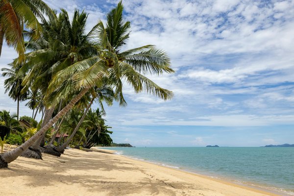 Comment gérer l'annulation ou le remboursement d'un billet d'avion