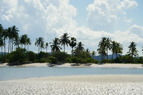 Comprendre son billet d'avion : décryptage des informations