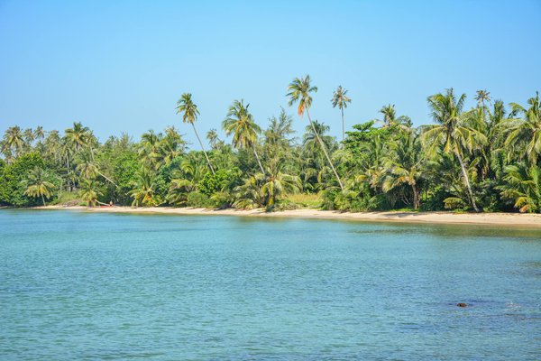 Animations camping en pleine nature : le programme idéal de vos vacances